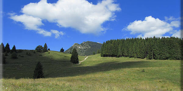 Immagine decorativa per il contenuto Agritur