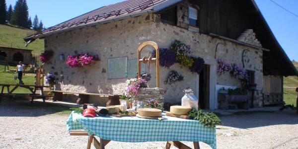Immagine decorativa per il contenuto Malga Fratte