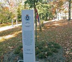 Immagine Giardino della memoria Immagine Giardino della memoria