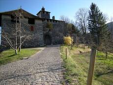 Immagine decorativa