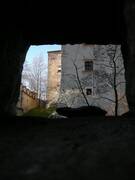 Immagine decorativa