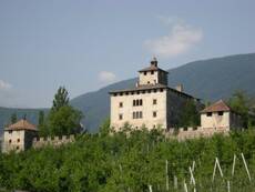 Immagine decorativa