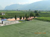 Immagine decorativa
