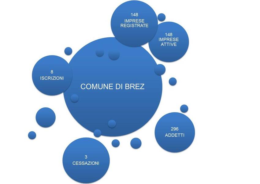 1. Imprese nel territorio del Comune di Brez