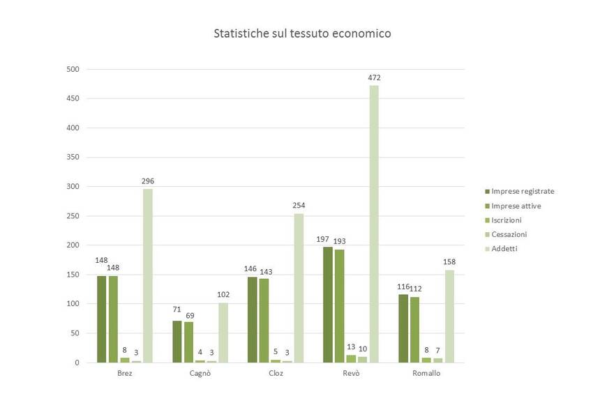 12. Statistiche sul tessuto economico nel territorio dei Comuni di Brez, Cagnò, Cloz, Revò e Romallo