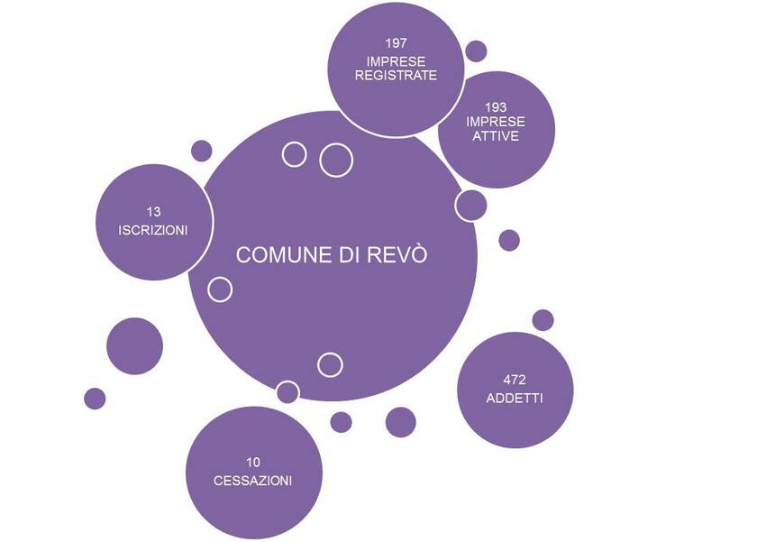 4. Imprese nel territorio del Comune di Revò
