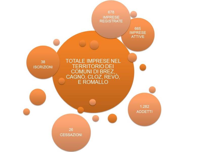 6. Imprese nel territorio dei Comuni di Brez, Cagnò, Cloz, Revò e Romallo
