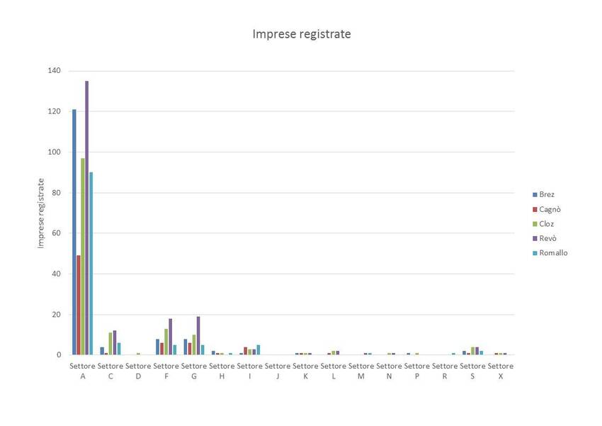 7. Imprese registrate nel territorio dei Comuni di Brez, Cagnò, Cloz, Revò e Romallo