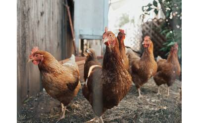 Immagine: ben-moreland-8wWpDF4Av-Y-unsplash