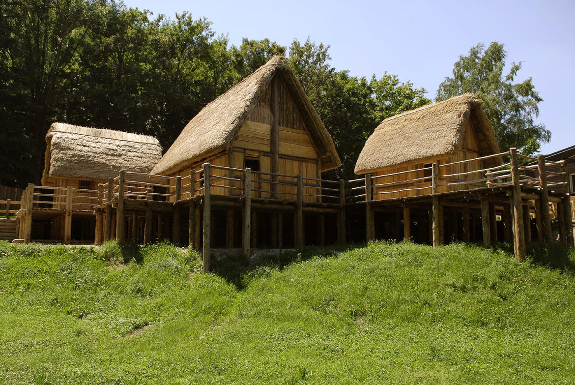 Immagine: Museo delle Palafitte