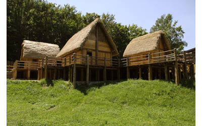 Immagine: Museo delle Palafitte