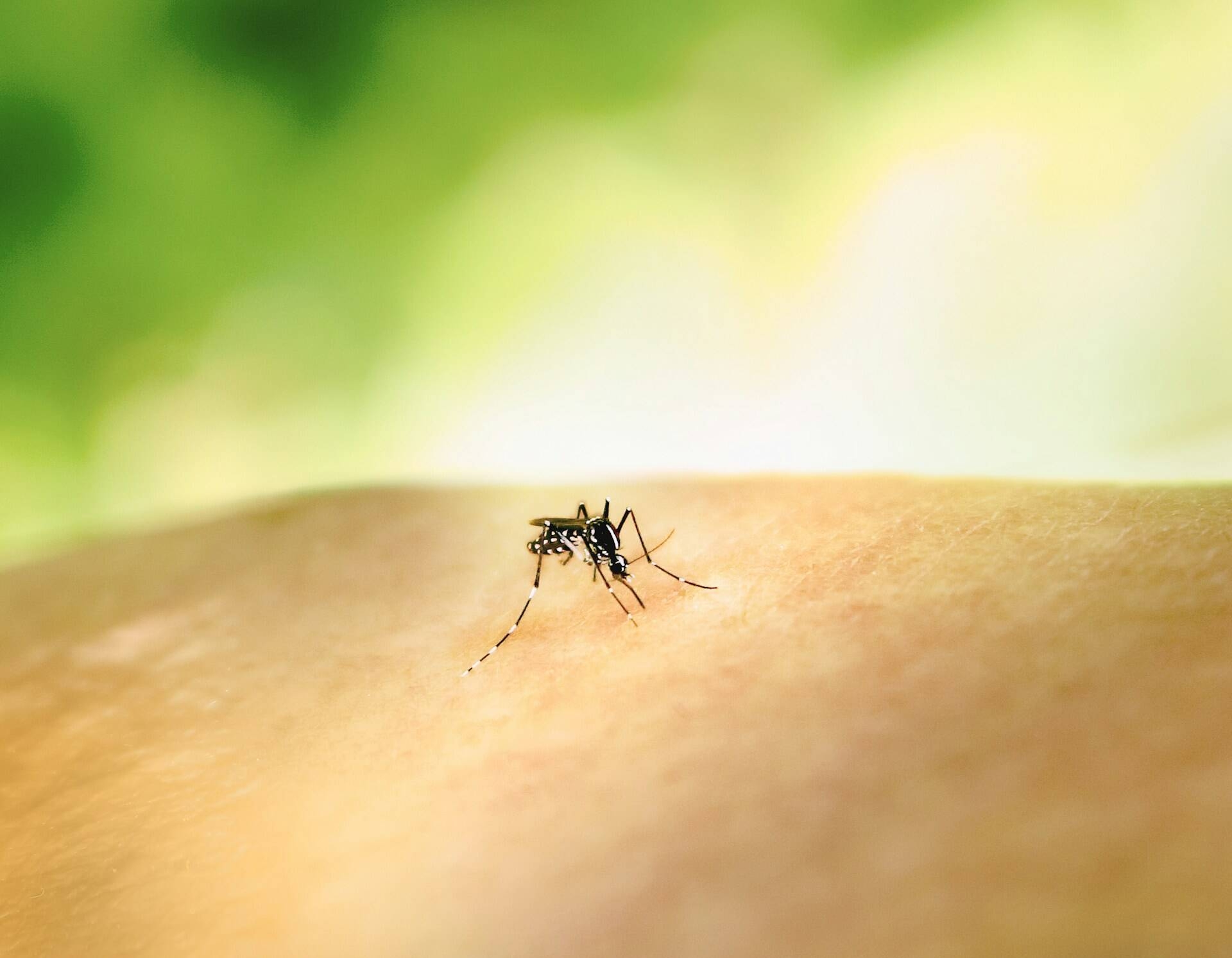 Immagine: national-institute-of-allergy-and-infectious-diseases-eOR3TOE9Jw0-unsplash