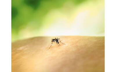 Immagine: national-institute-of-allergy-and-infectious-diseases-eOR3TOE9Jw0-unsplash