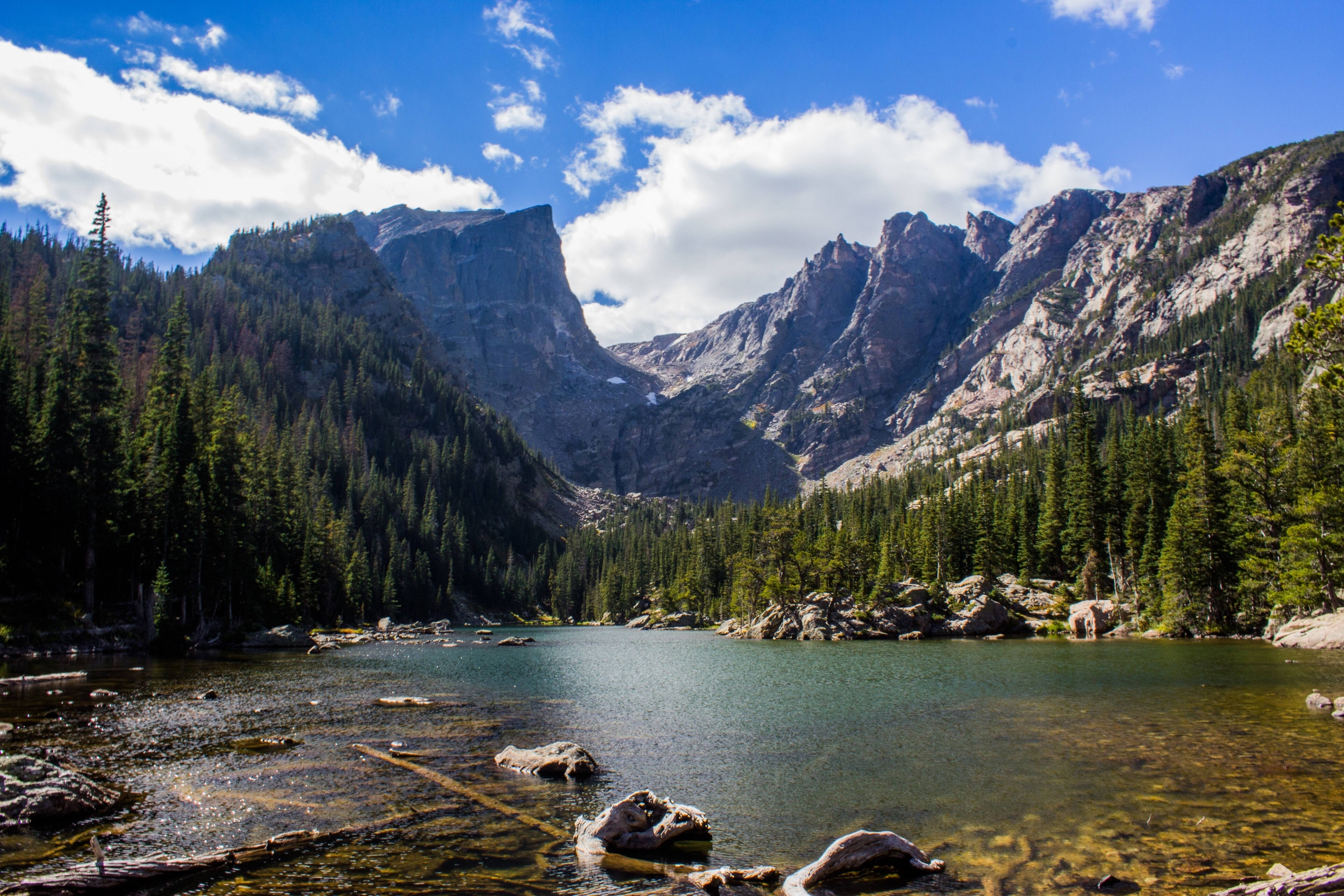 Immagine: Ambiente
