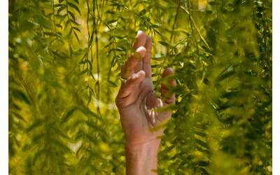 Immagine: Sostenibilità