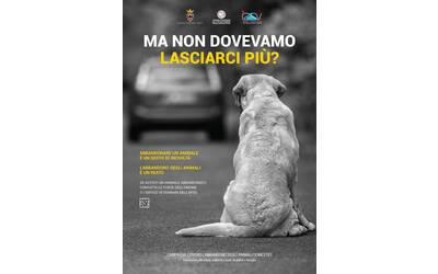 Immagine: Poster-campagna-antiabbandono-finale_imagefullwide