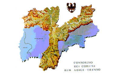 Immagine: Stemma BIM Adige