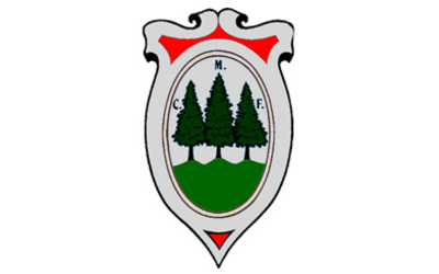 Immagine: Stemma Folgaria