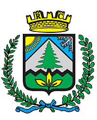 Immagine: Stemma Ronzo-Chienis