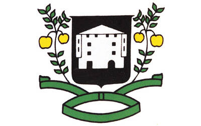 Immagine: Stemma Terzolas