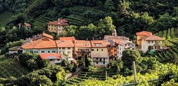 Bollettino Lavis Notizie n.2 - Agosto 2023 Bollettino Lavis Notizie n.2 - Agosto 2023