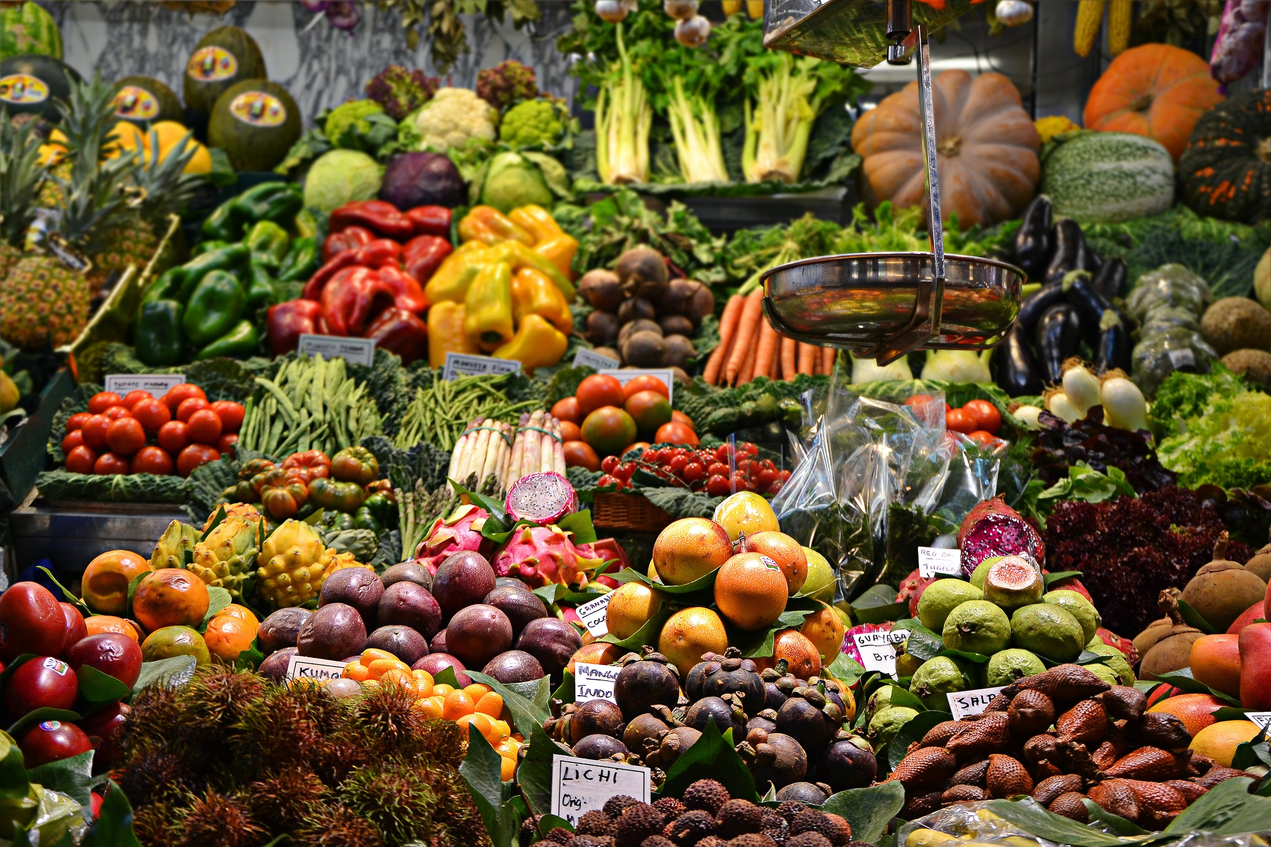 Immagine: Bonus Alimentare