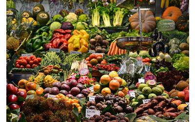 Immagine: Bonus Alimentare