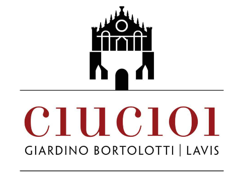 Immagine: Ciucioi logo