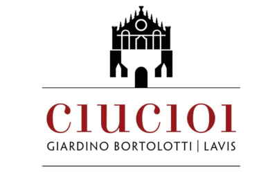 Immagine: Ciucioi logo