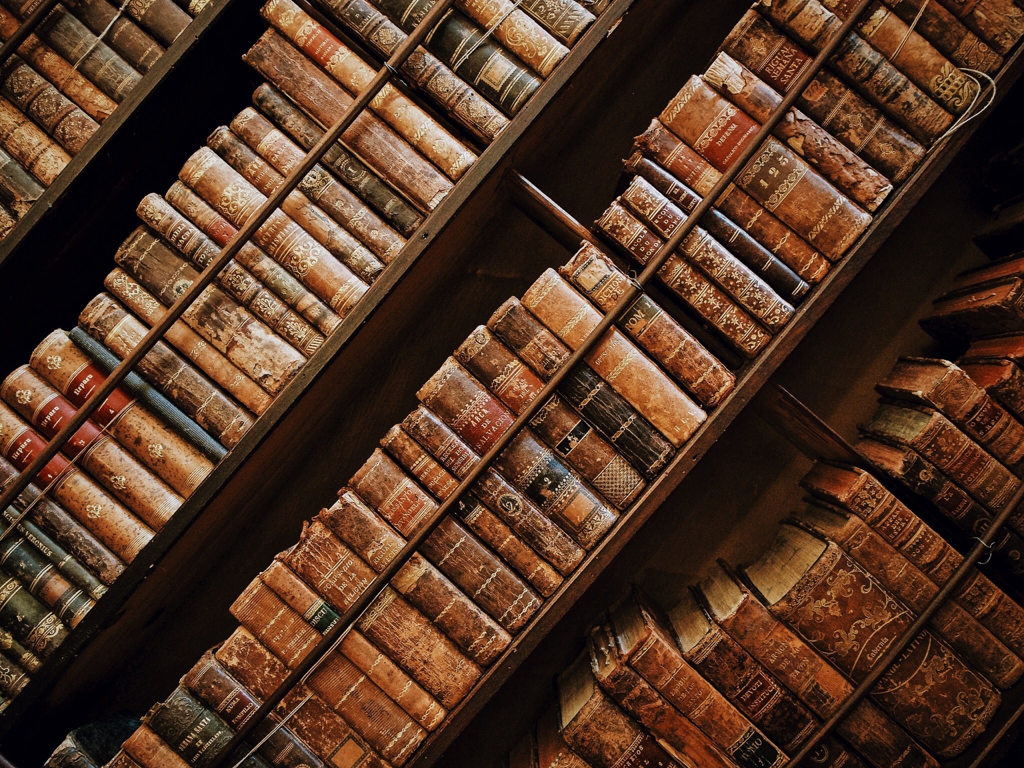 Immagine: Cultura