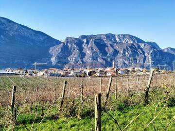 FIERA DELL'OTTAVA 2021 ANNULLATA FIERA DELL'OTTAVA 2021 ANNULLATA