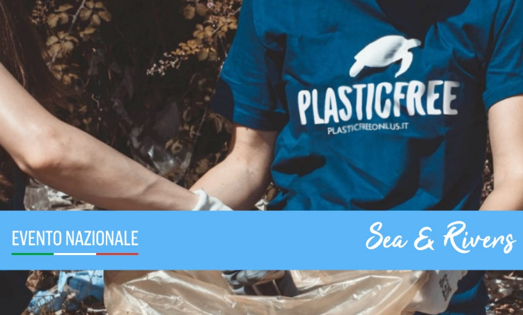 Immagine: foto_plastic