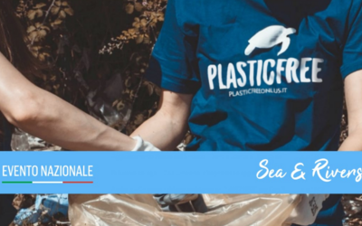 Immagine: foto_plastic