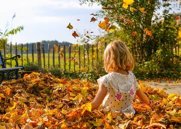 AUTUNNO SULL'AVISIO  AUTUNNO SULL'AVISIO