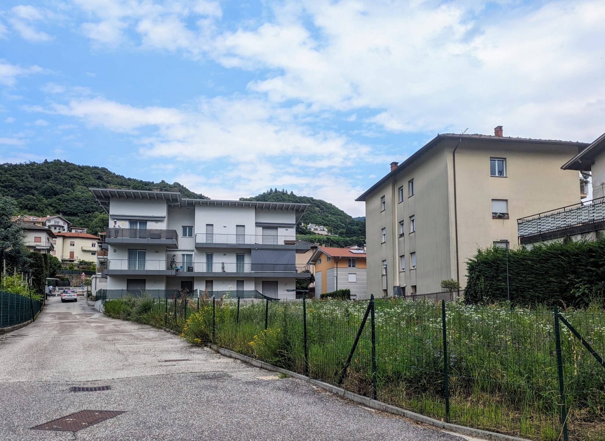 Immagine: Immagine WhatsApp 2024-06-14 ore 15.58.41_2c3dc572