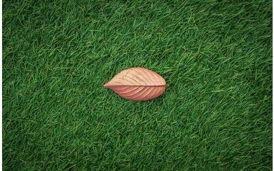 Immagine: leaves-ga2184ccbf_1280
