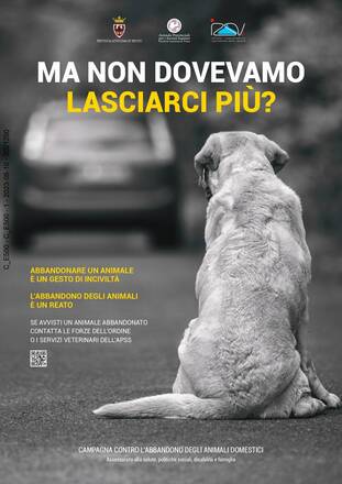 CAMPAGNA CONTRO L'ABBANDONO DEGLI ANIMALI DOMESTICI CAMPAGNA CONTRO L'ABBANDONO DEGLI ANIMALI DOMESTICI