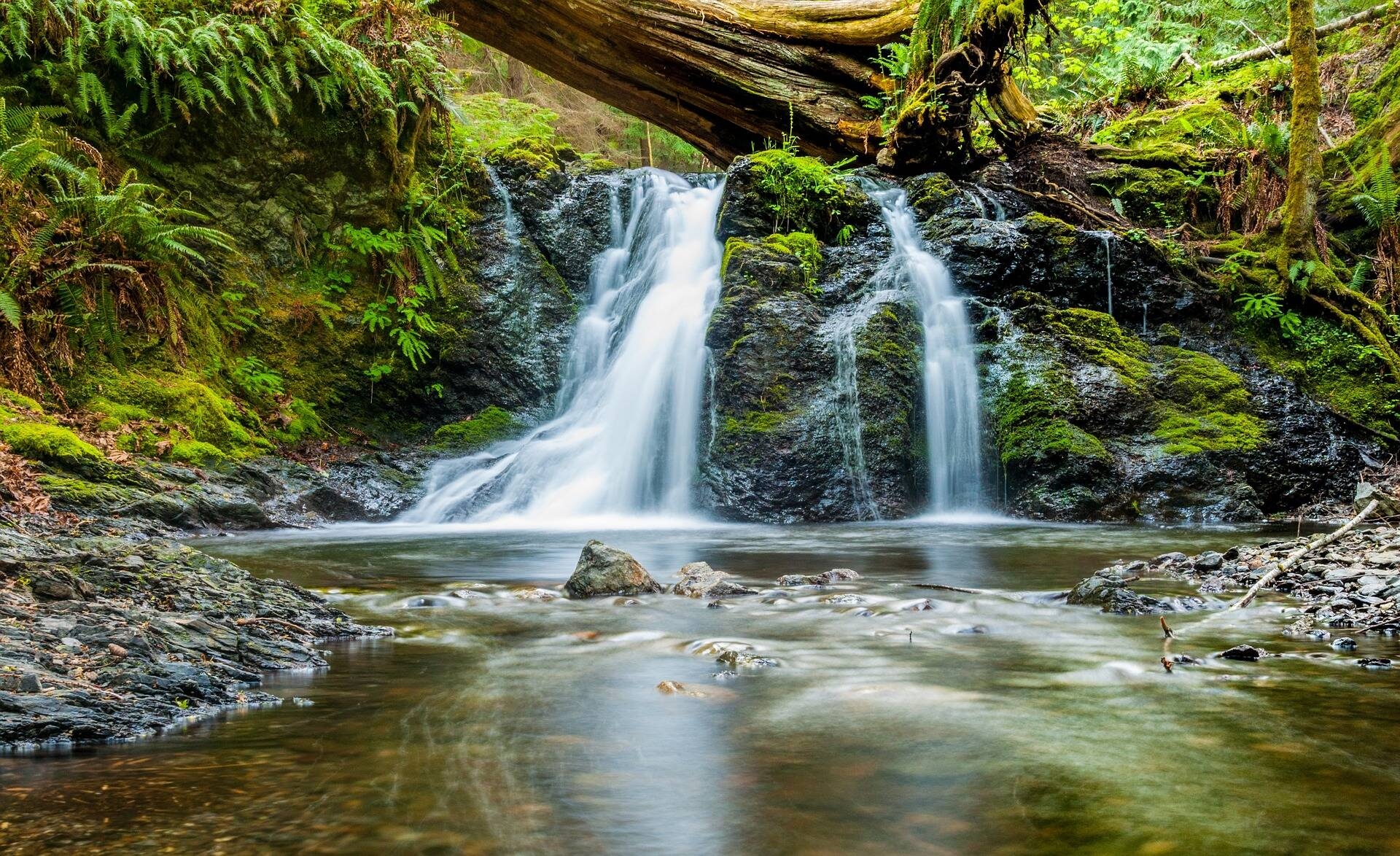 Immagine: water-1209782_1920