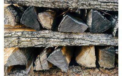 Immagine: wood