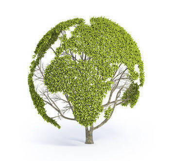 Immagine: Ambiente