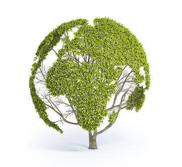 Immagine: Ambiente