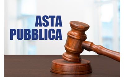 Immagine: Asta pubblica