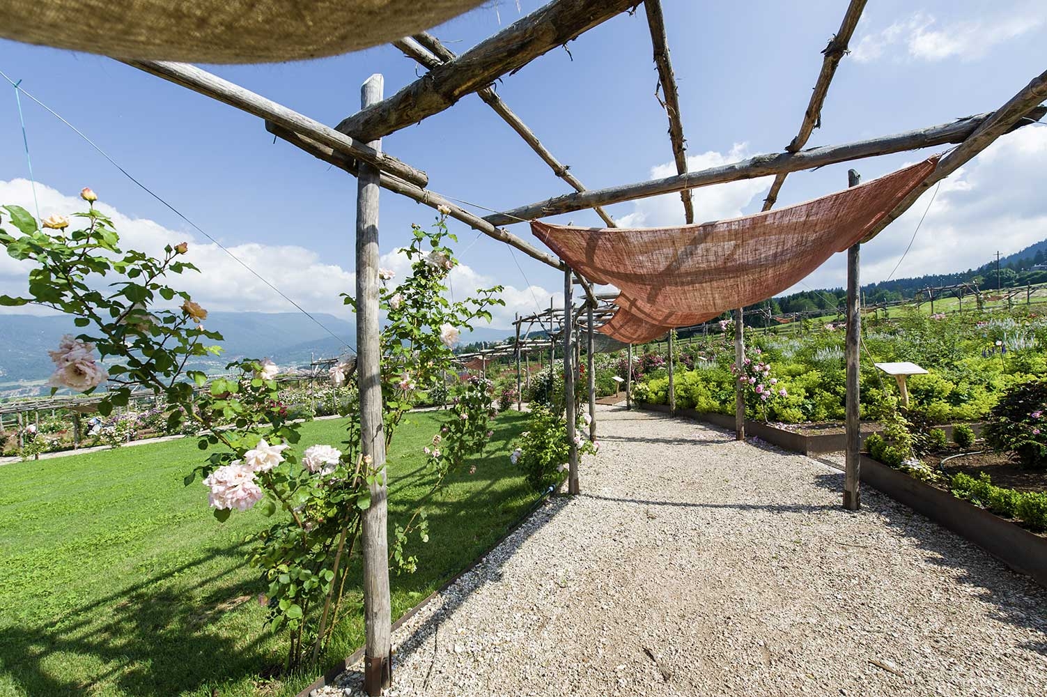 Immagine: Giardino della Rosa