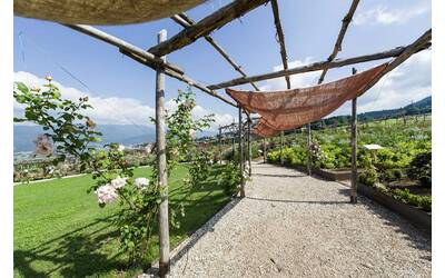 Immagine: Giardino della Rosa