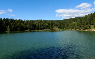 Immagine: Lago di Tret