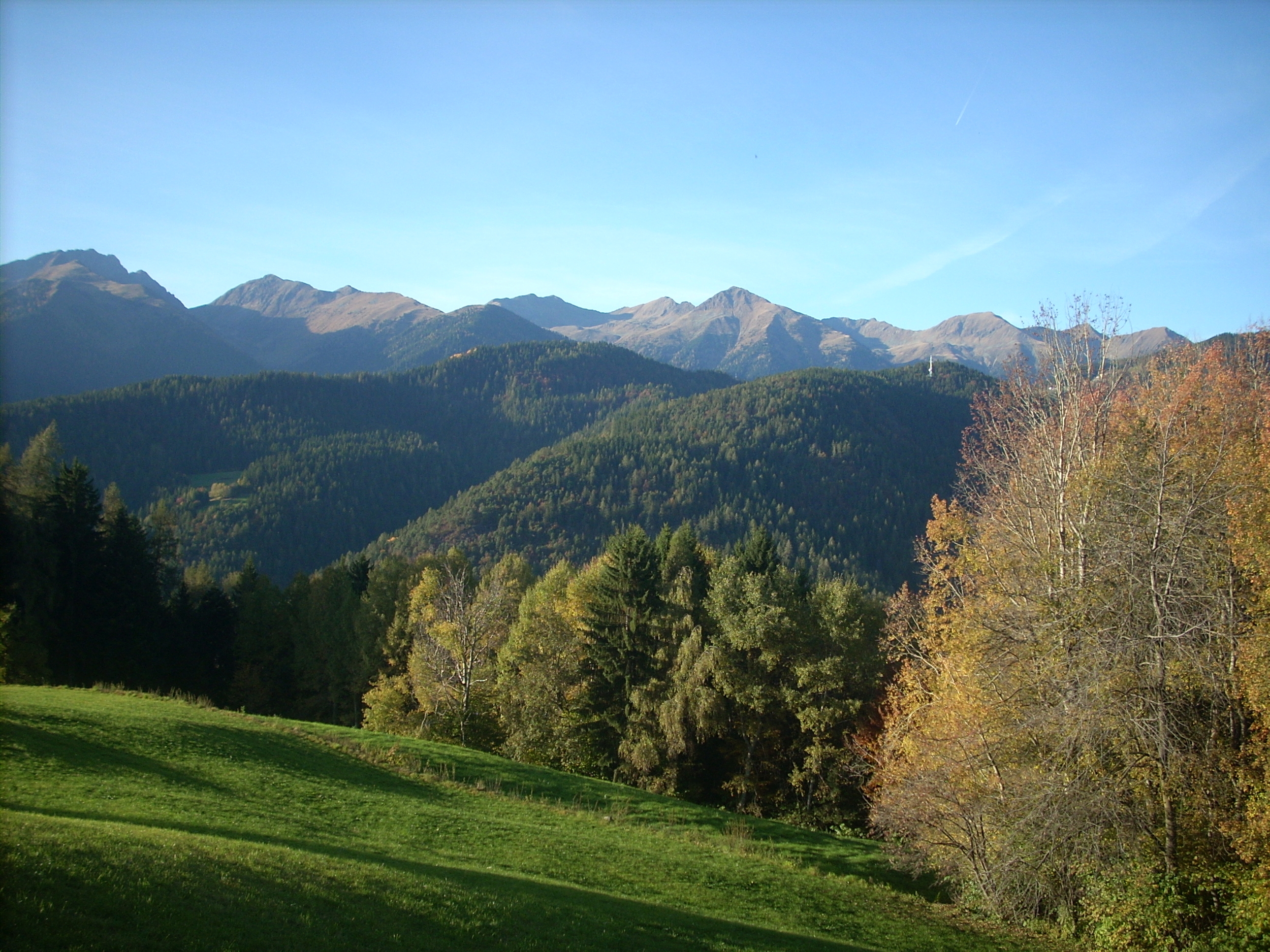 Immagine: Maddalene