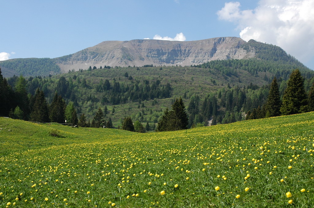 Immagine: Monte Peller