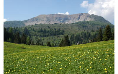 Immagine: Monte Peller