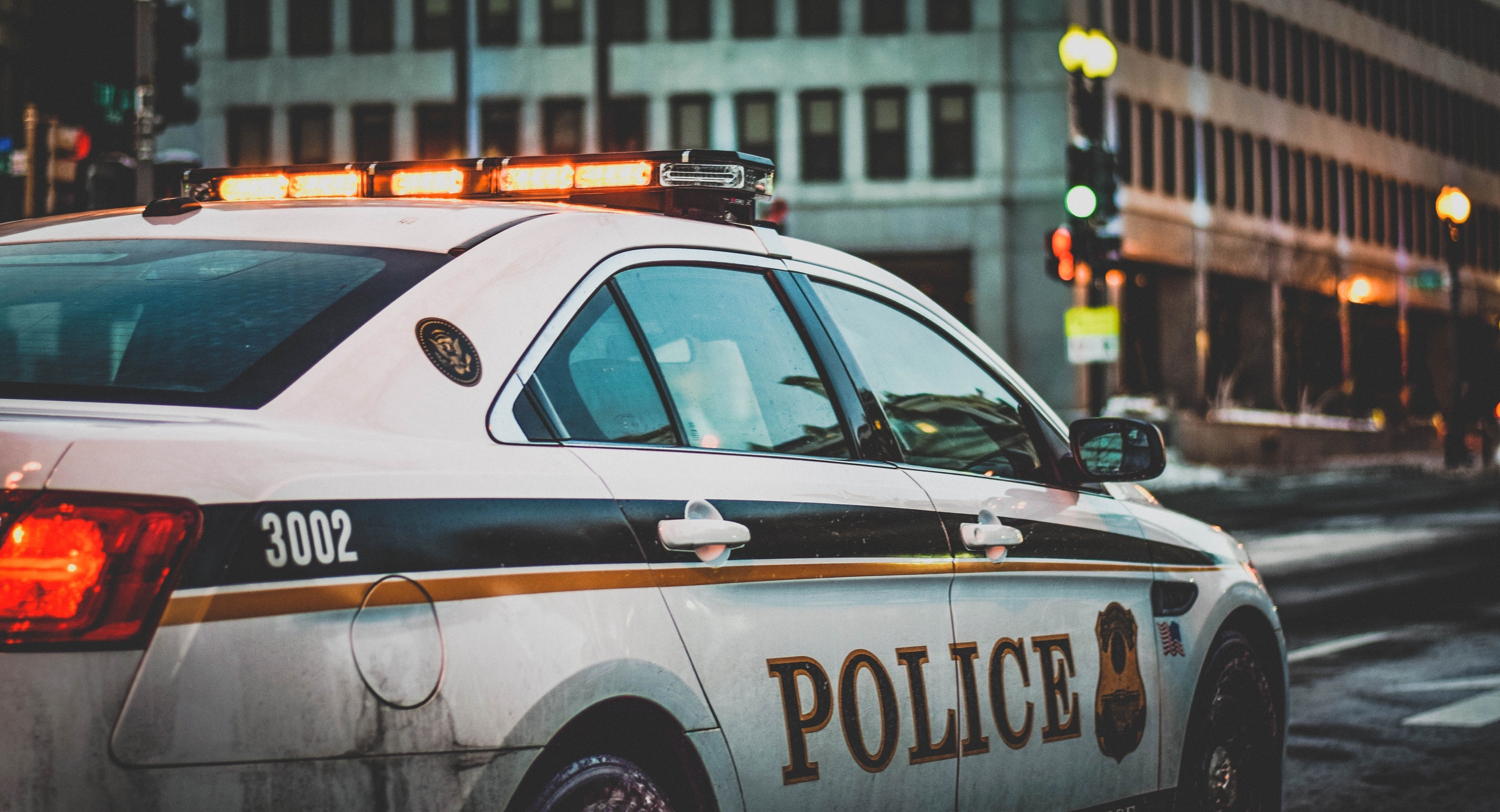 Immagine: Polizia