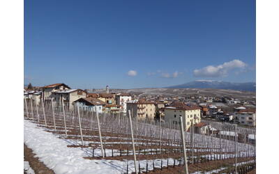 Immagine: Tuenno
